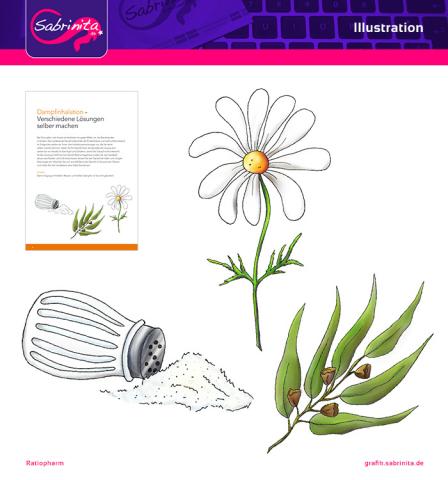 Referenz: Illustration Salz, Kamille, Eukalyptusblatt - Ratiopharm Broschüre